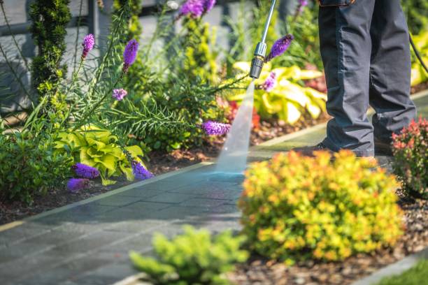 Professional Pressure Washing Services in Modesto, CA